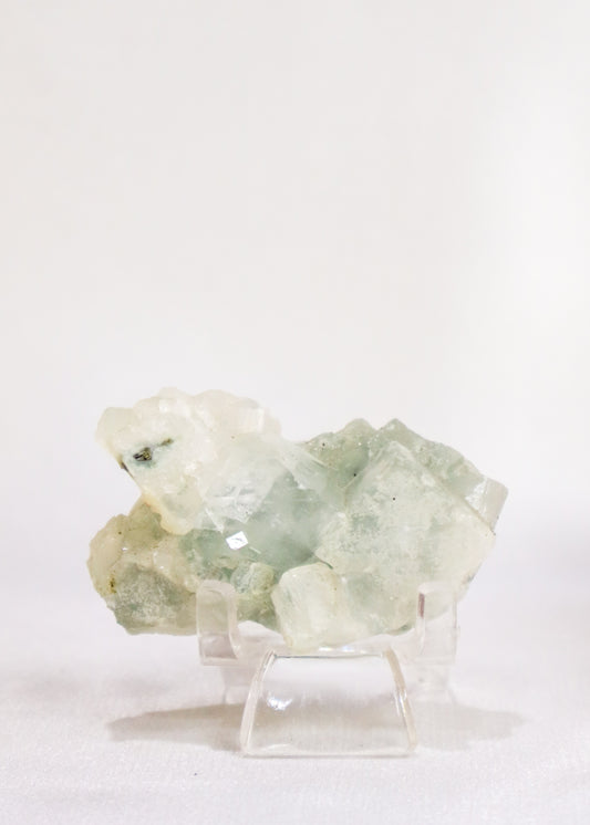 Small Apophyllite Cluster - #6