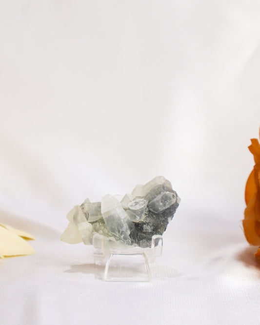 Small Apophyllite Cluster - #4