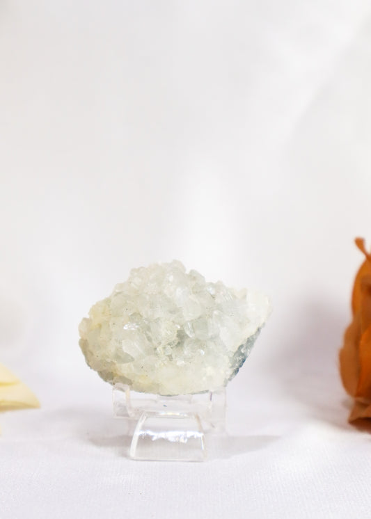 Small Apophyllite Cluster - #8