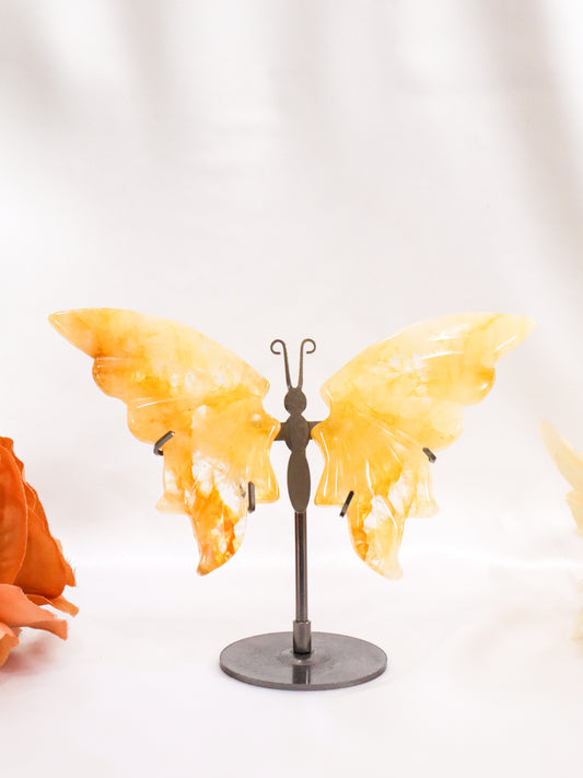 Golden Healer Butterfly Wings #4