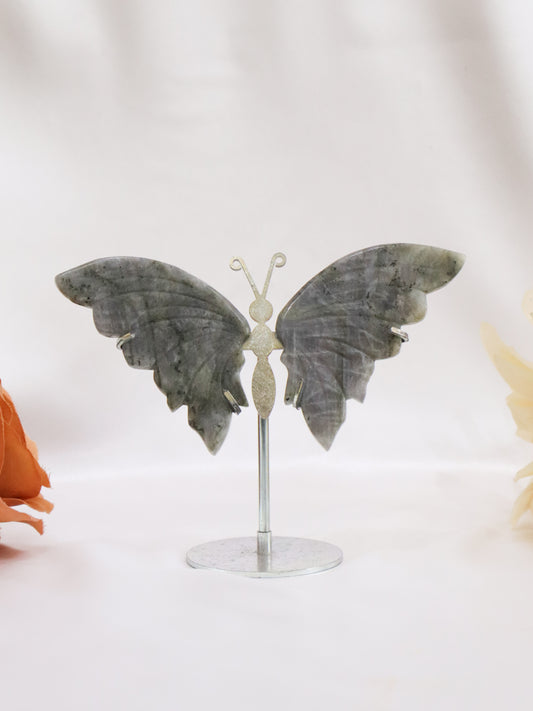 Labradorite Butterfly Wings #2 - No Flash