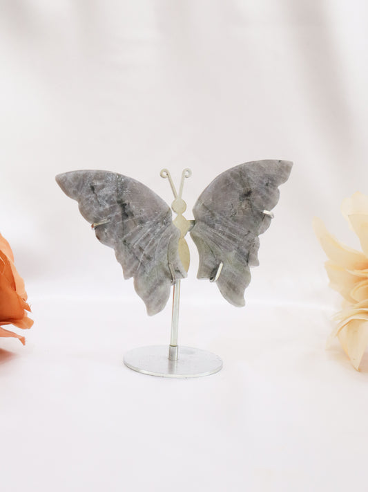 Labradorite Butterfly Wings #1 - No Flash