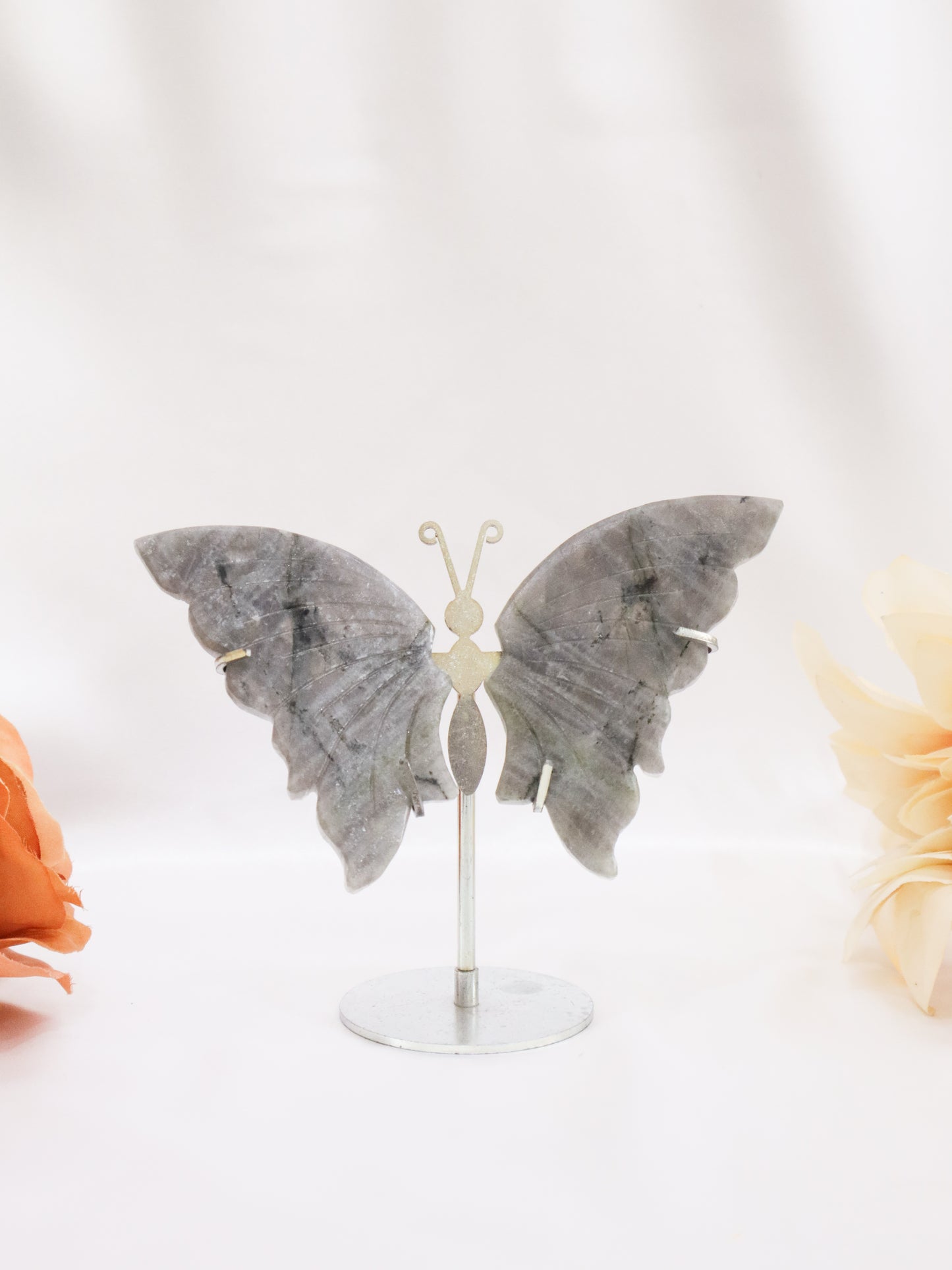 Labradorite Butterfly Wings #1 - No Flash