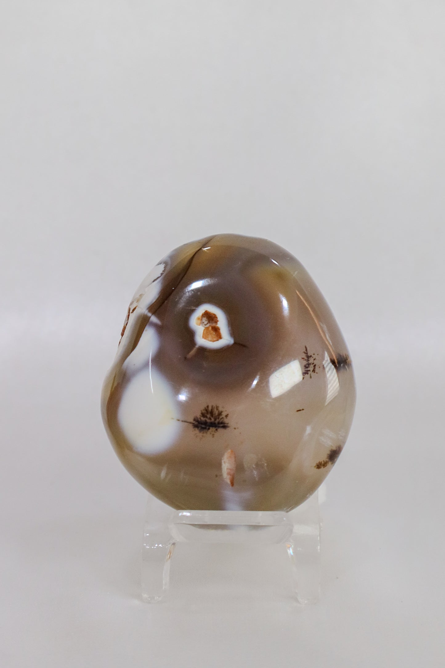 Orca Agate Palmstone #11