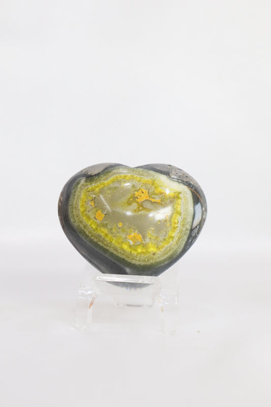 Bumble Bee Jasper Heart #2
