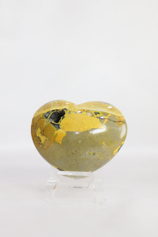 Bumble Bee Jasper Heart #5