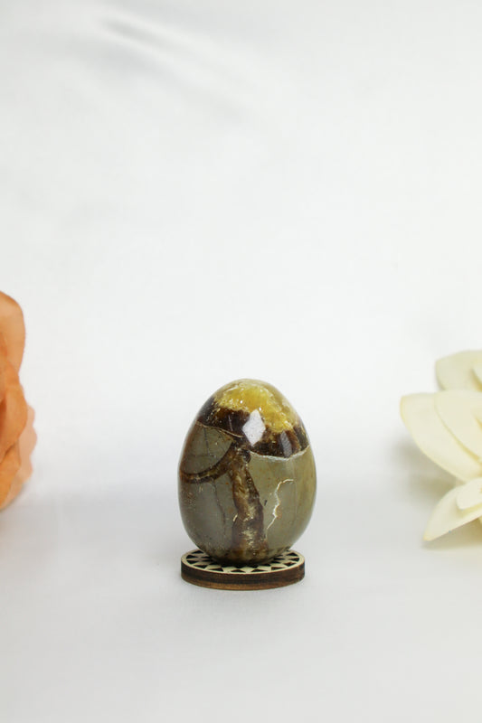 Septarian Egg #2