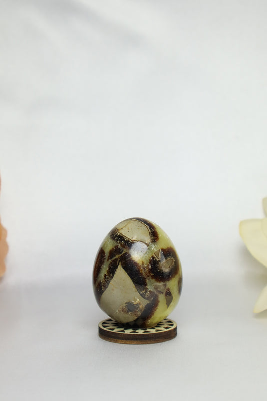 Septarian Egg #1