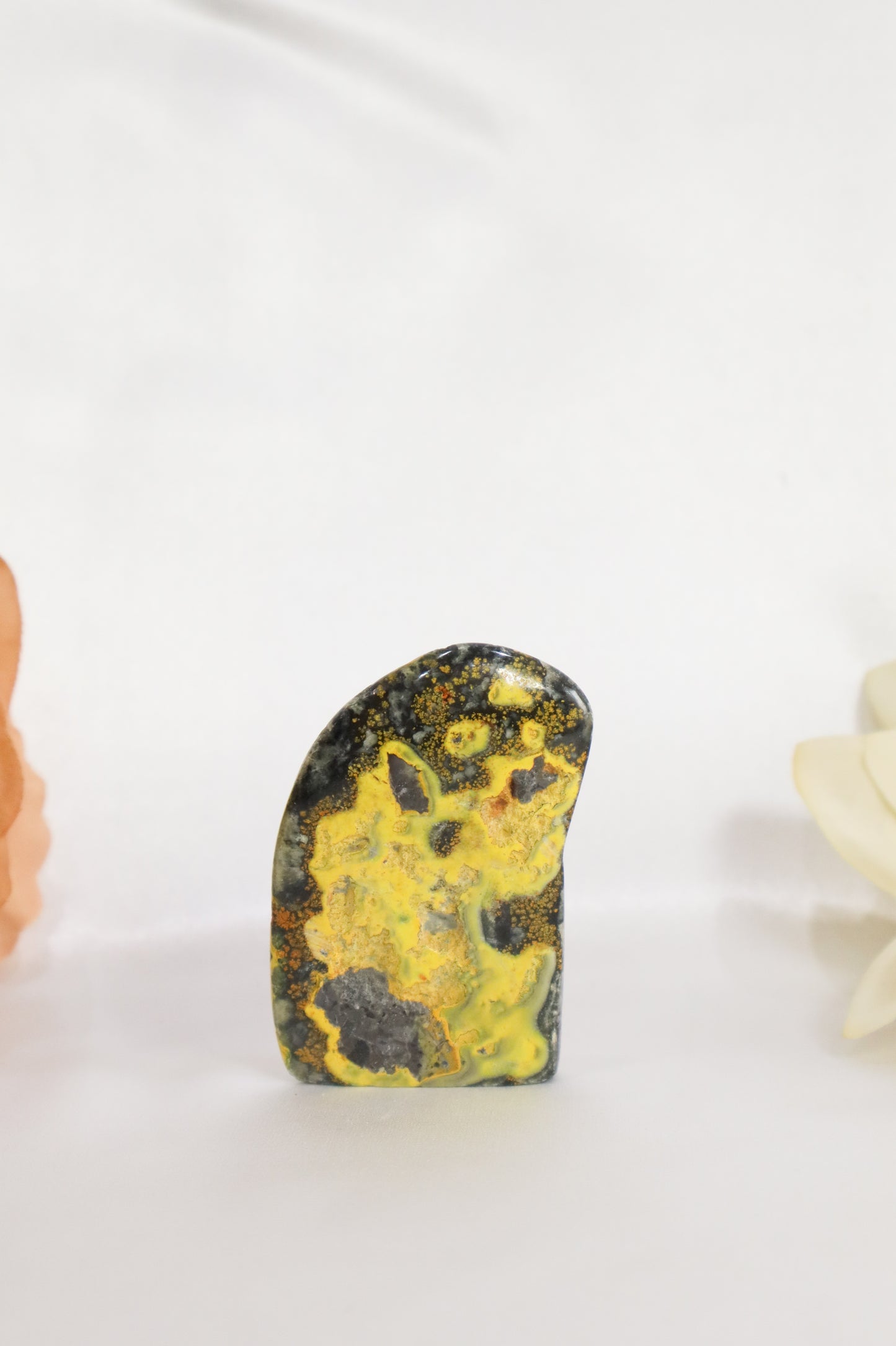 Bumble Bee Jasper Freeform #1