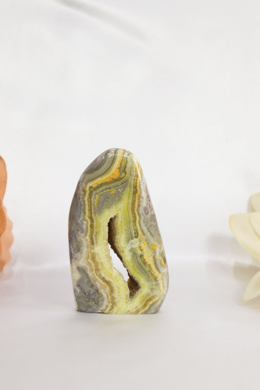 Bumble Bee Jasper Freeform #2