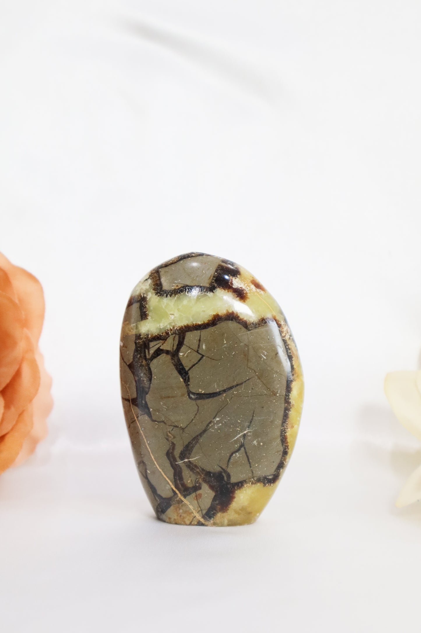 Septarian Freeform #2