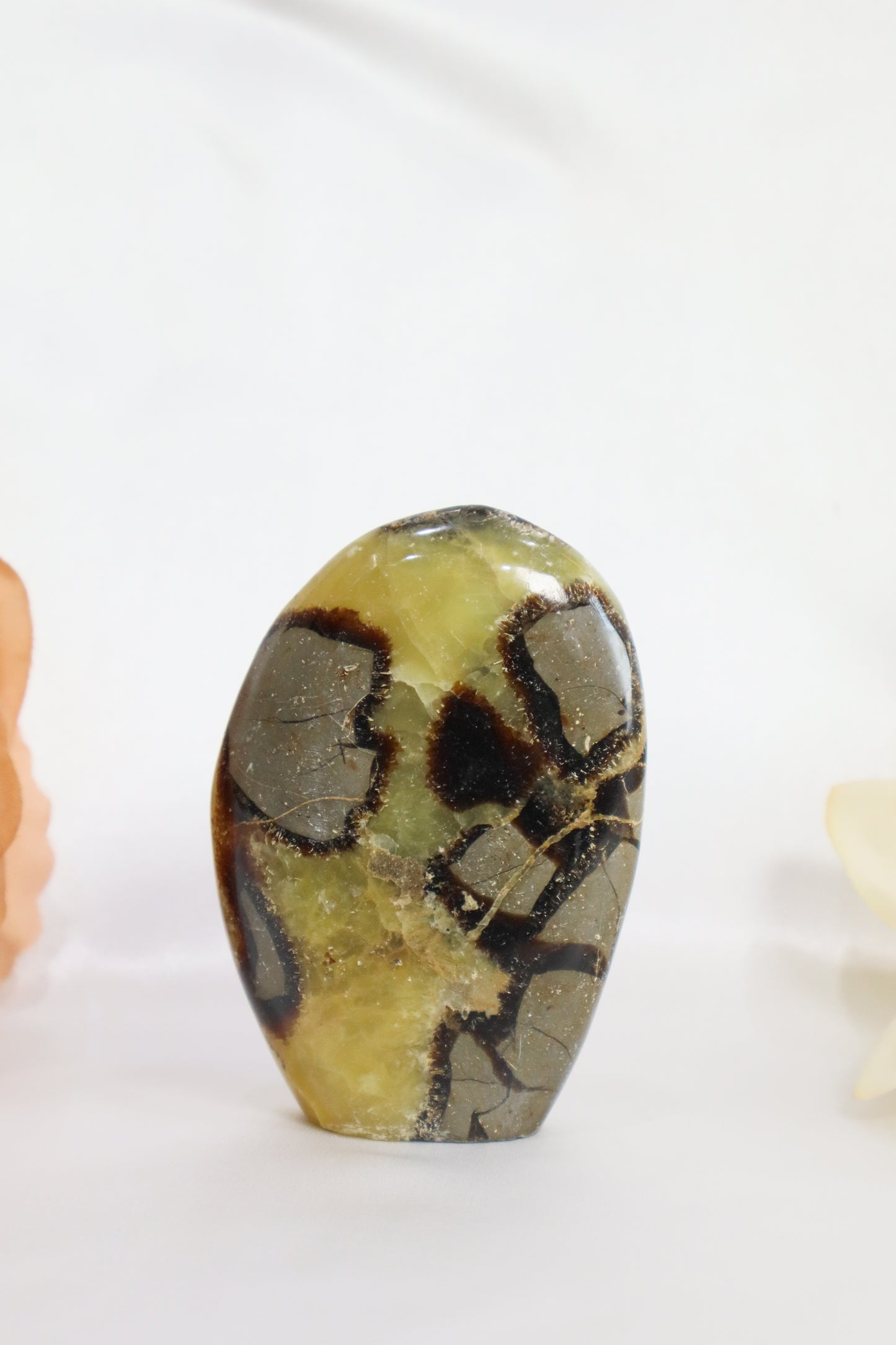 Septarian Freeform #2