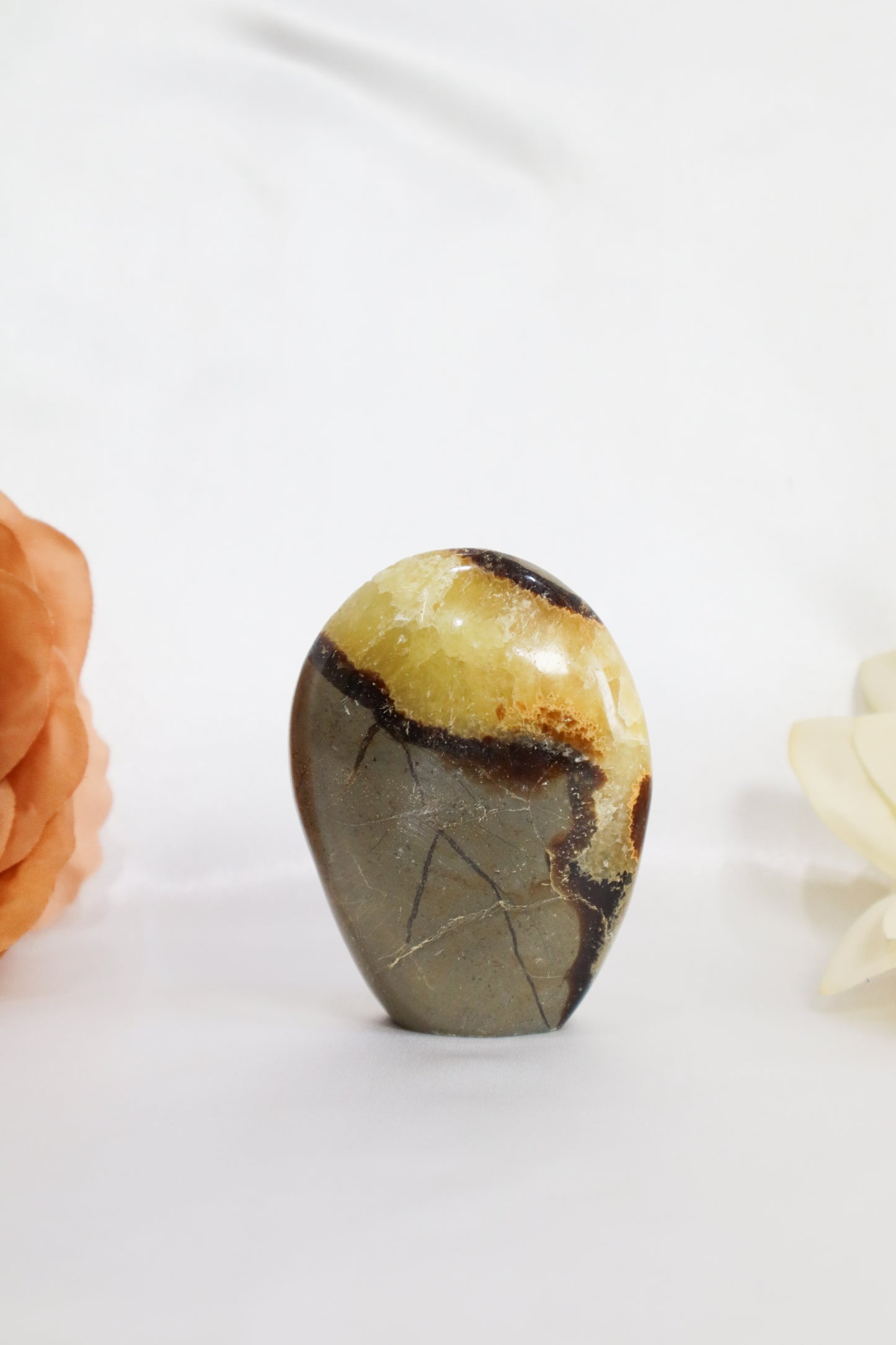 Septarian Freeform #1