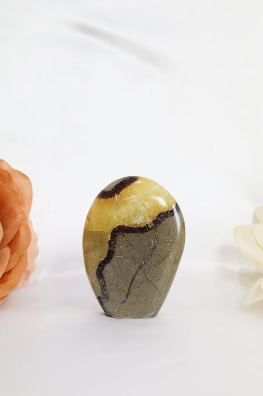 Septarian Freeform #1